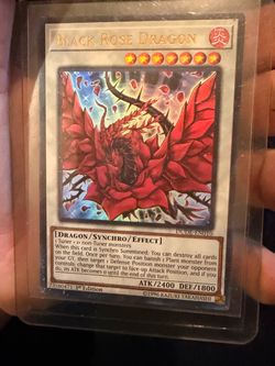 Black Rose Dragon