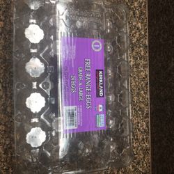 Plastic Egg Carton x 22