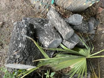 Pecan Firewood