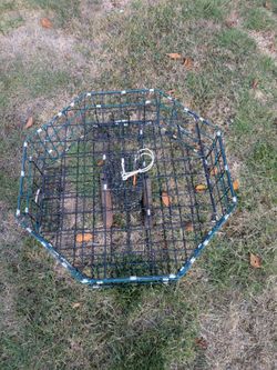 Crab trap