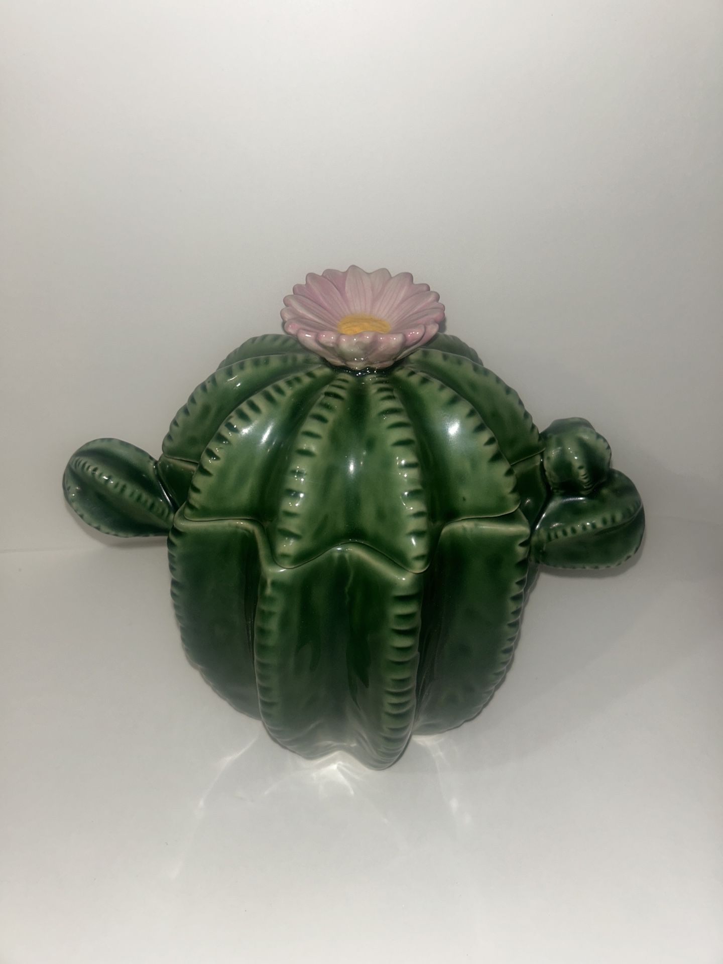 Ceramic Succulent Cactus Flower Cookie Jar