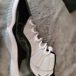 Jordan 11s Concords