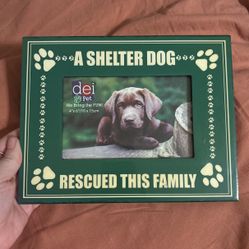 shelter dog frame 