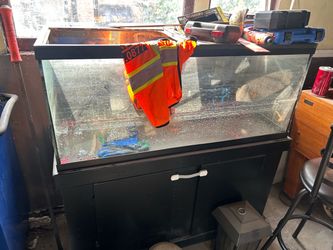 Fish tank