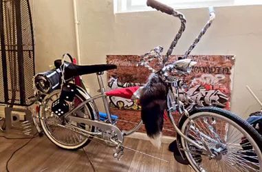 Lowrider bike