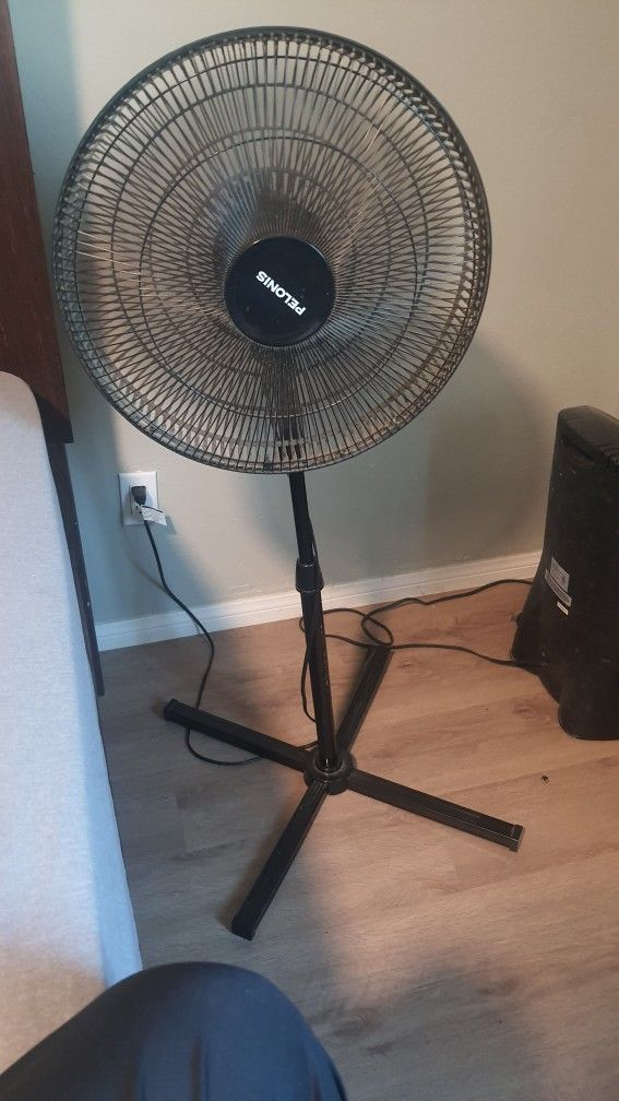 Fan