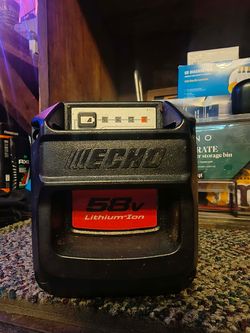 Echo 58V Lithium-Ion Battery Pack