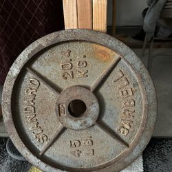 45 Lbs Plate Weight