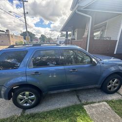 2010 Ford Escape