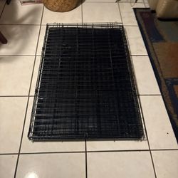 Large Dog Kennel