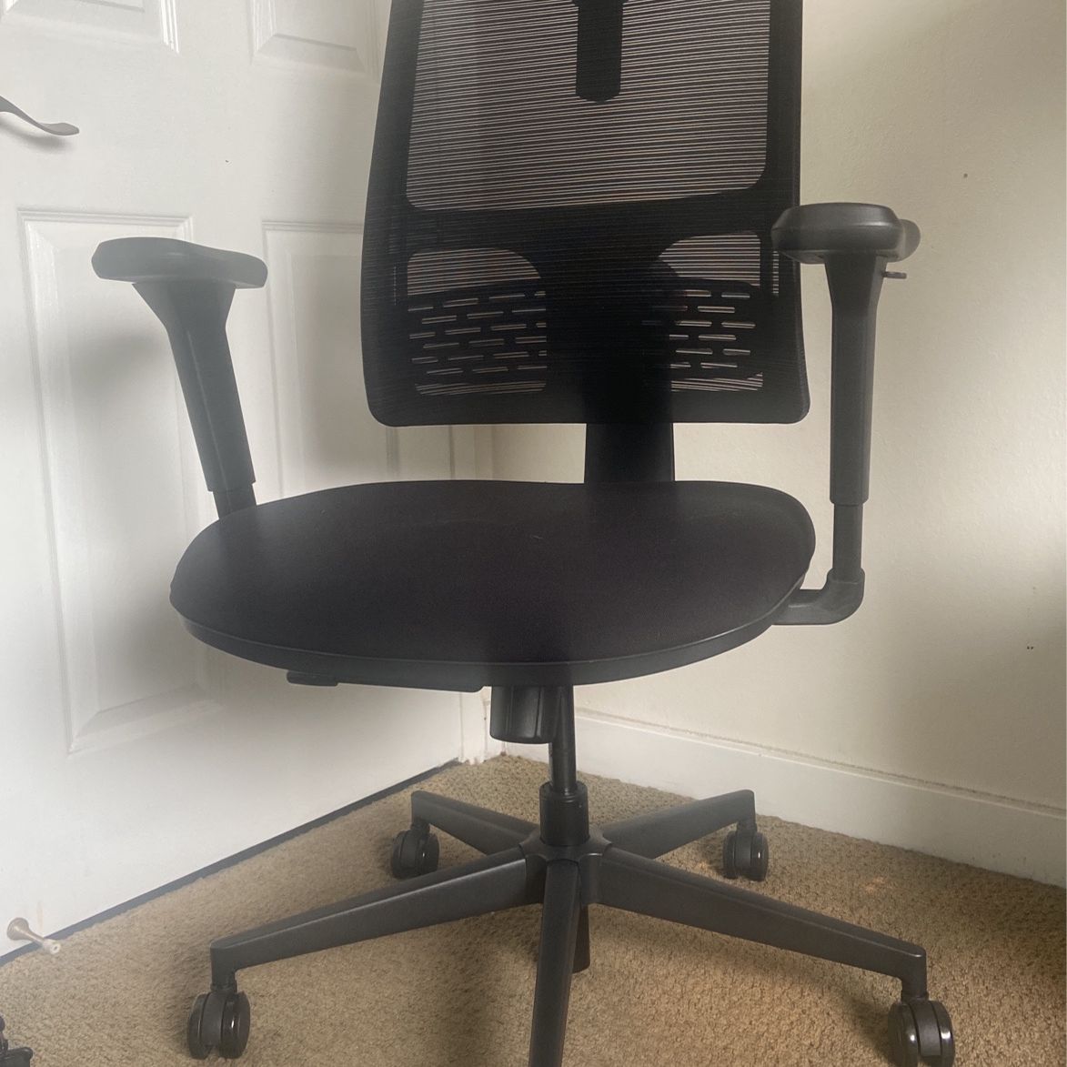 Ergonomic Desk Chair (NewTral)