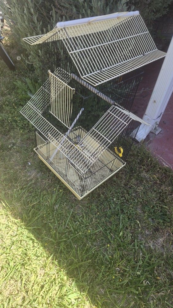 Bird Cage