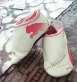 Pumas