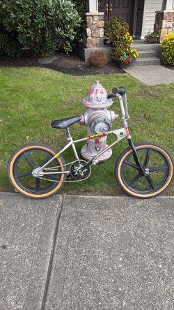 1979 Supergoose