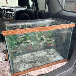 20 Gal High Fish Tank
