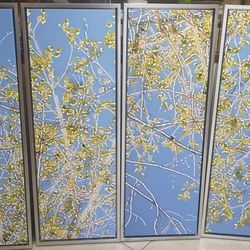 Floral Framed Canvas Art