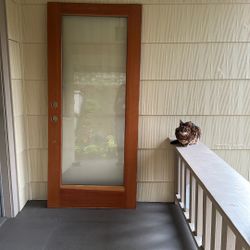 Exterior Store Door-Frosted Glass- Fir Veneer