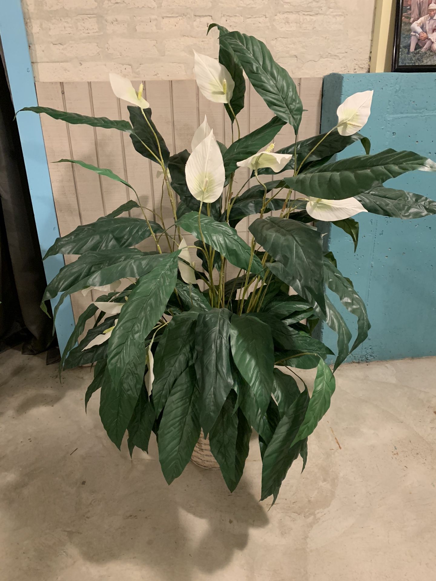 Fake Plant, approx 4ft tall