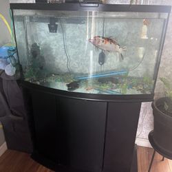 Aquarium 