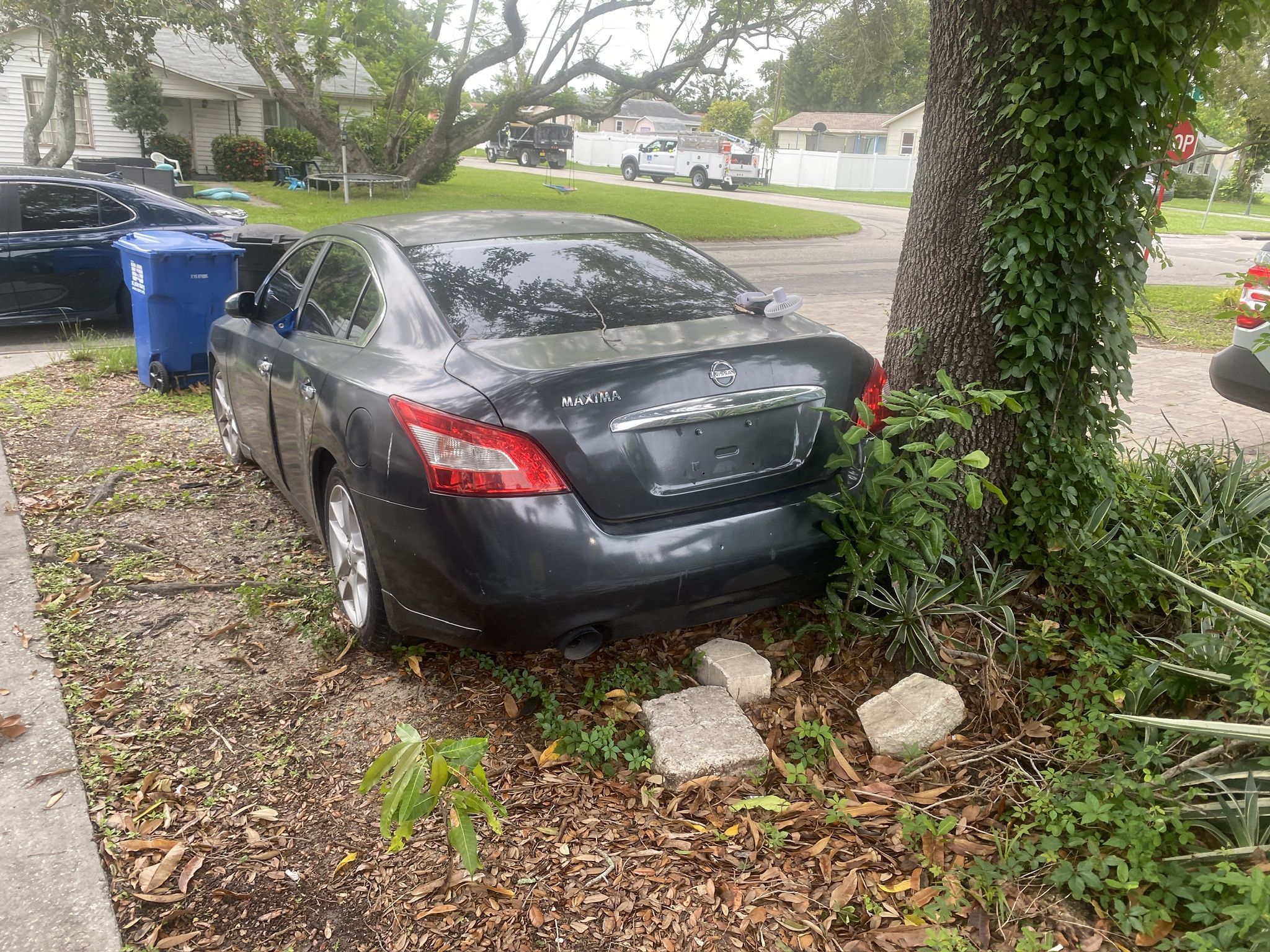 2009 Nissan Maxima Parts