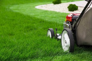 Lawn
