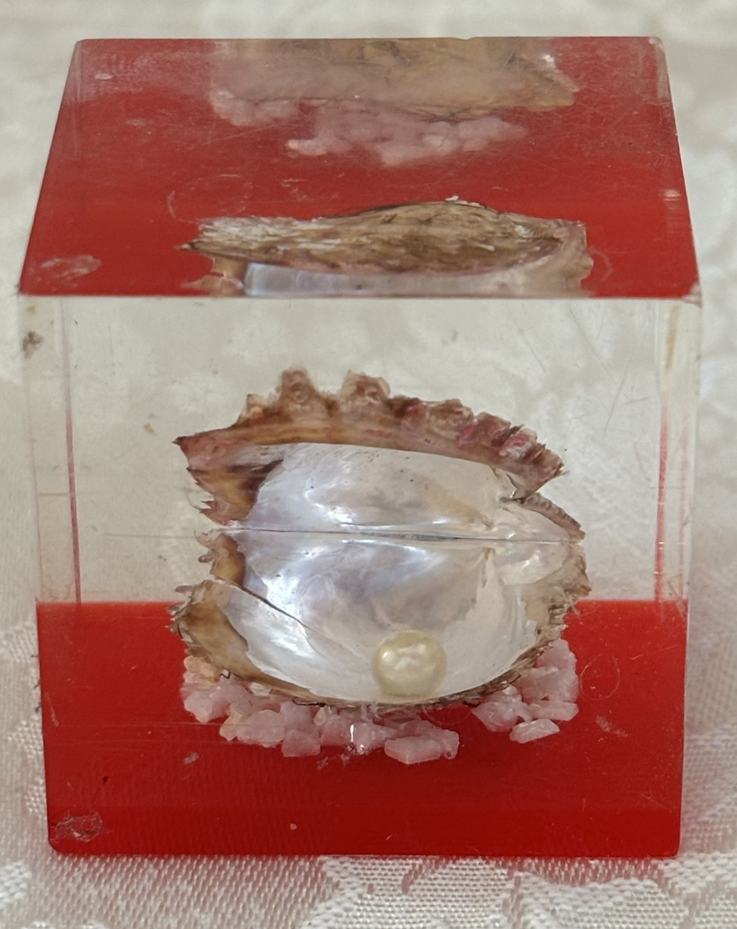 Vintage 1960s Oyster With Pearl Paperweight🔵Read Full Description Below🔵