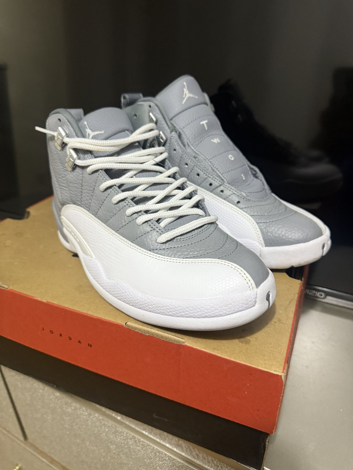 Jordan 12 Stealth
