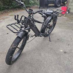 Rad 6+ E Bike