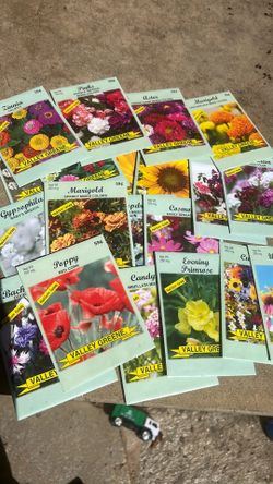 20 packs of sorted seeds