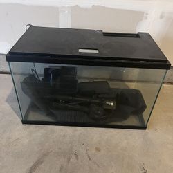 Fish Tank 