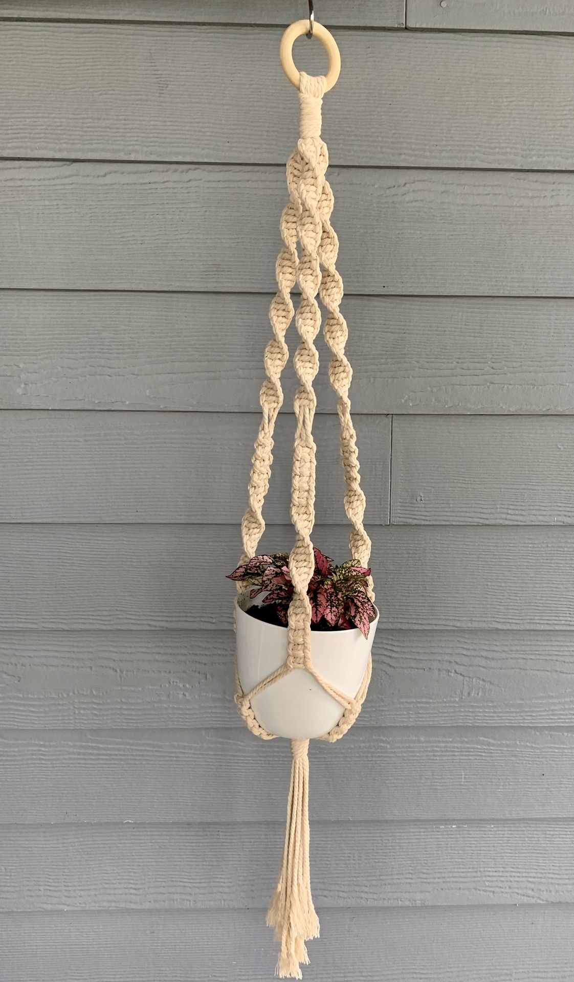 Macrame Plant Hanger