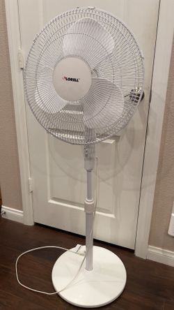 Fan