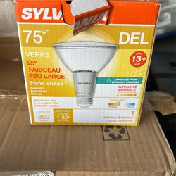 Sylvania  is 75 850 Luminosite Led Flood Lite 