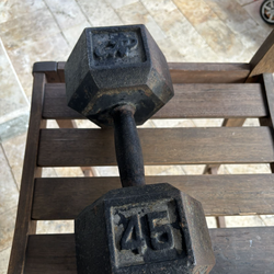 45 pound dumbbell weight