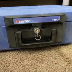 Sentry 1100 Lockbox