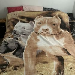 Pitbull Blanket