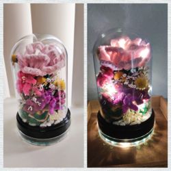 LED Velvet Wire Rose Plastic Dome