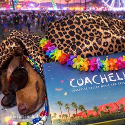 COACHELLA TICKET FOR SELL