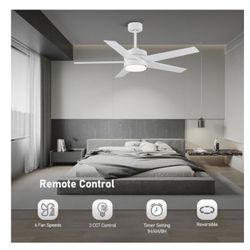 Ceiling Fan With Light!