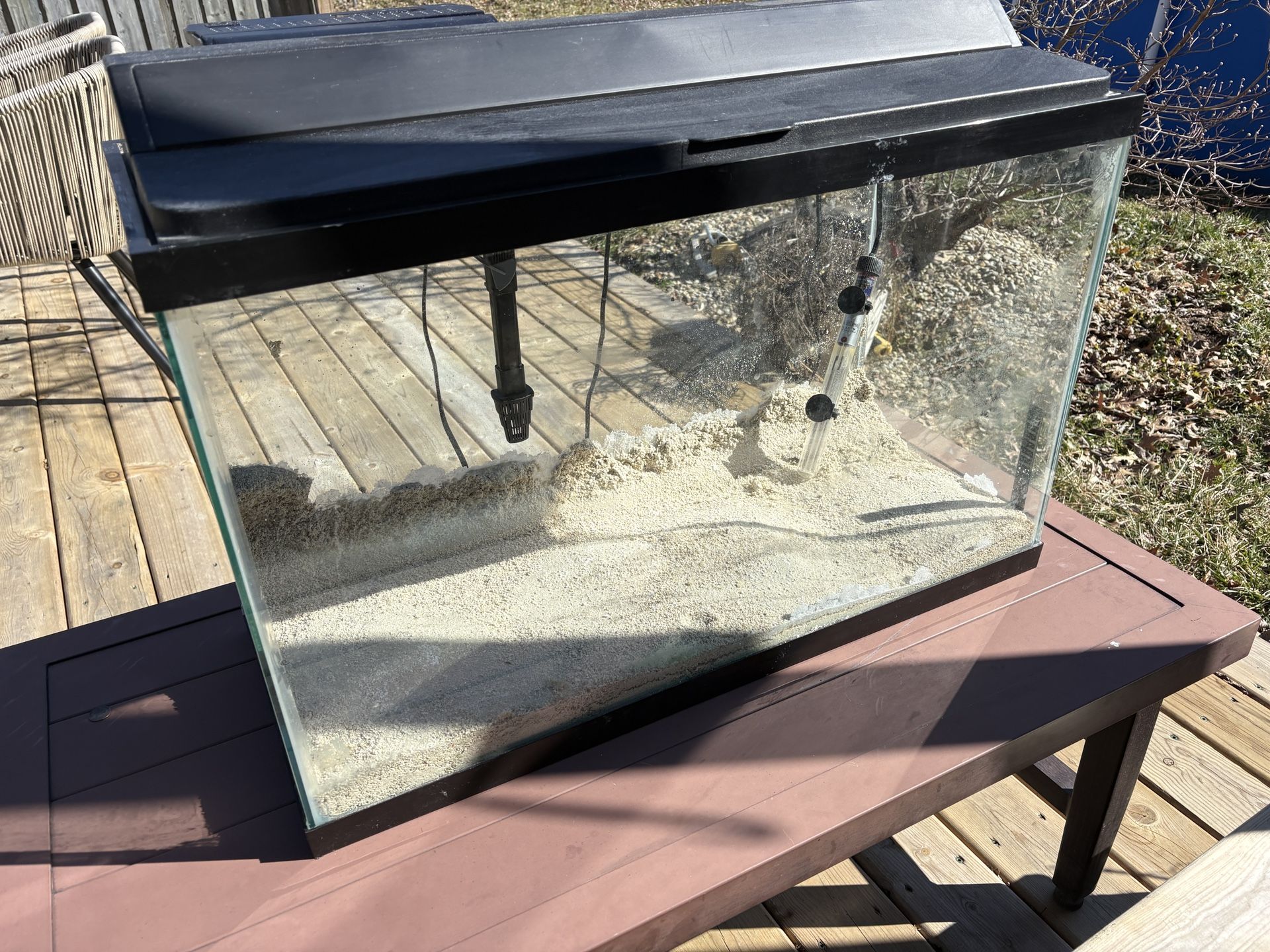 30 Gallon Fish Tank Setup