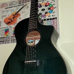 Breedlove Rainforest S Concert PA CE