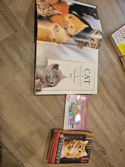 3 Cat Books Bundle – Dewey, Cat The Complete Guide & Why Do Cats Do That?