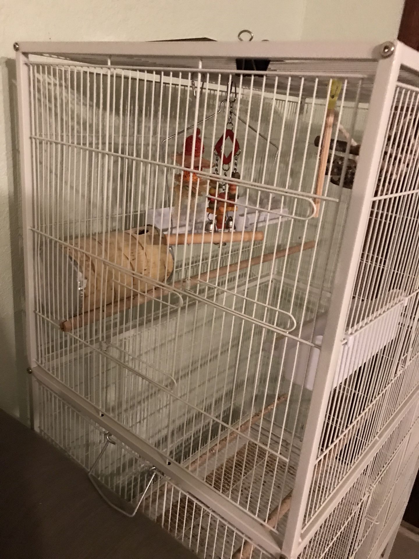 Bird Cage With Everything Included 