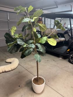 Artificial Fiddle Leaf Fig Tree in White Pot