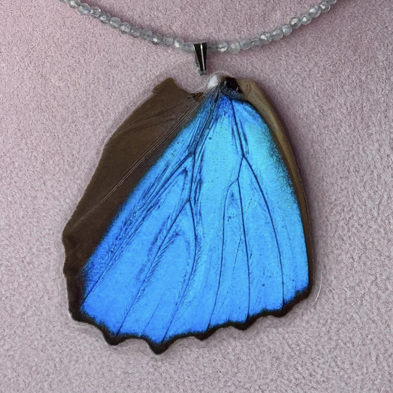 Natural Butterfly 🦋