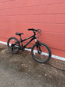 Haro Kids Mountain Bike