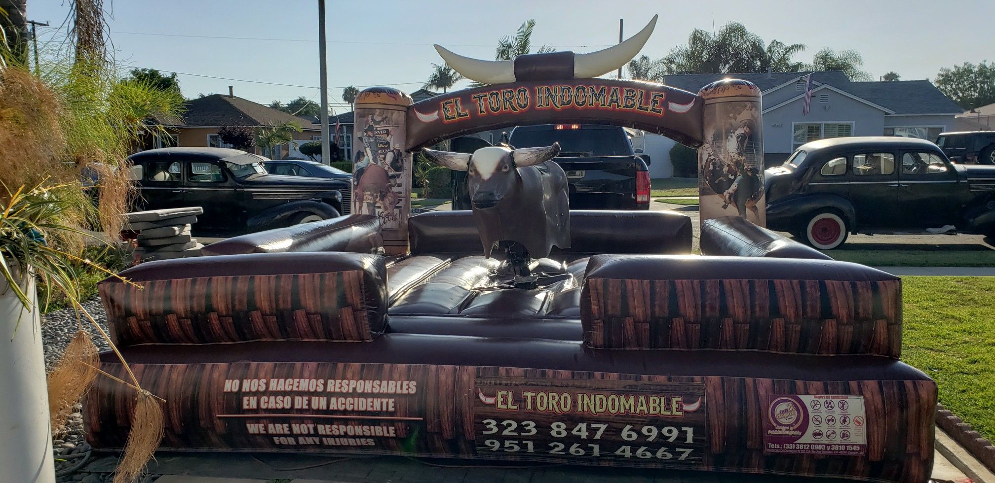 Mechanical Bull 4 Rent