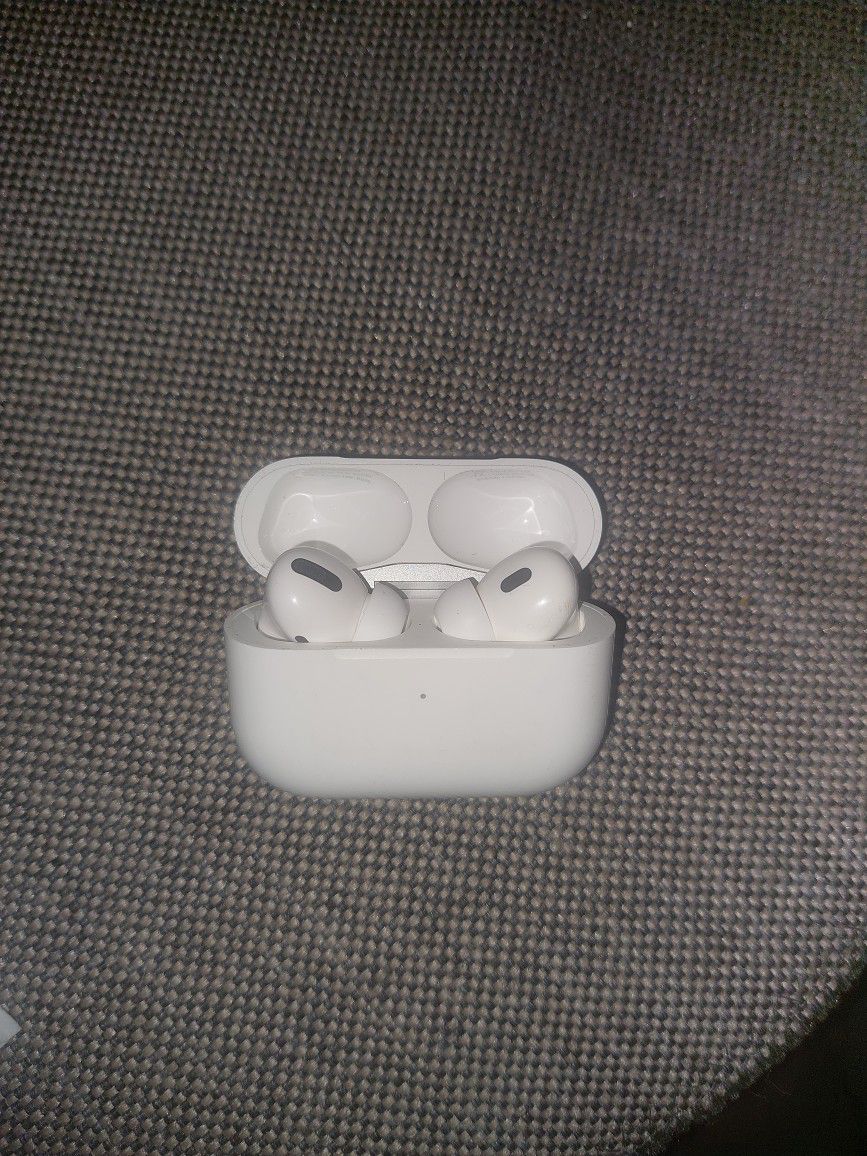 IPod Earbuds 