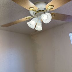 Celing Fan 