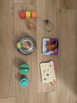 Lovevery The Explorer Playkit 9-10 Months 